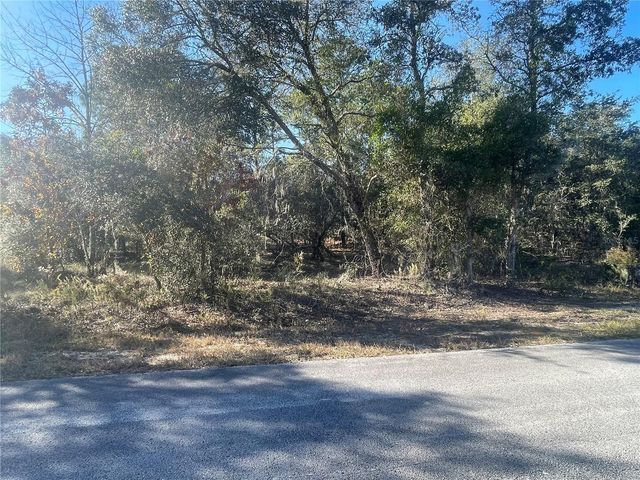 1056 BAMBOO LANE, Dunnellon, FL 34431