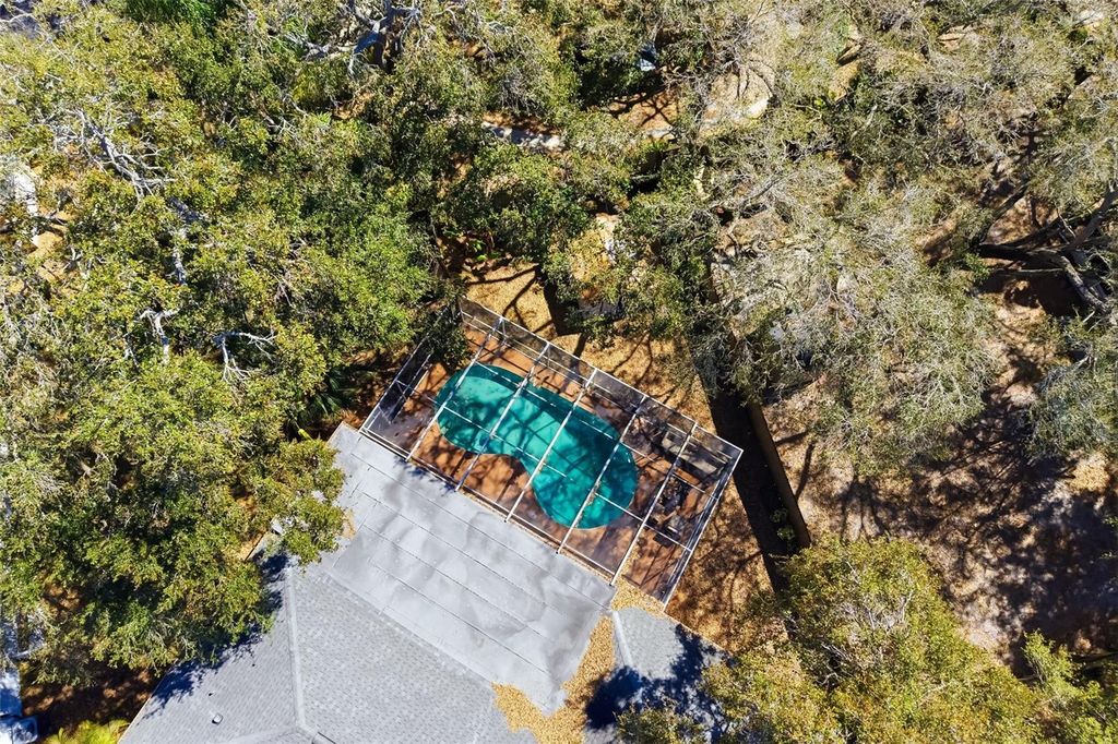 Image 50 of property listing at 186 SUNWARD AVENUE, Palm Harbor, FL 34684