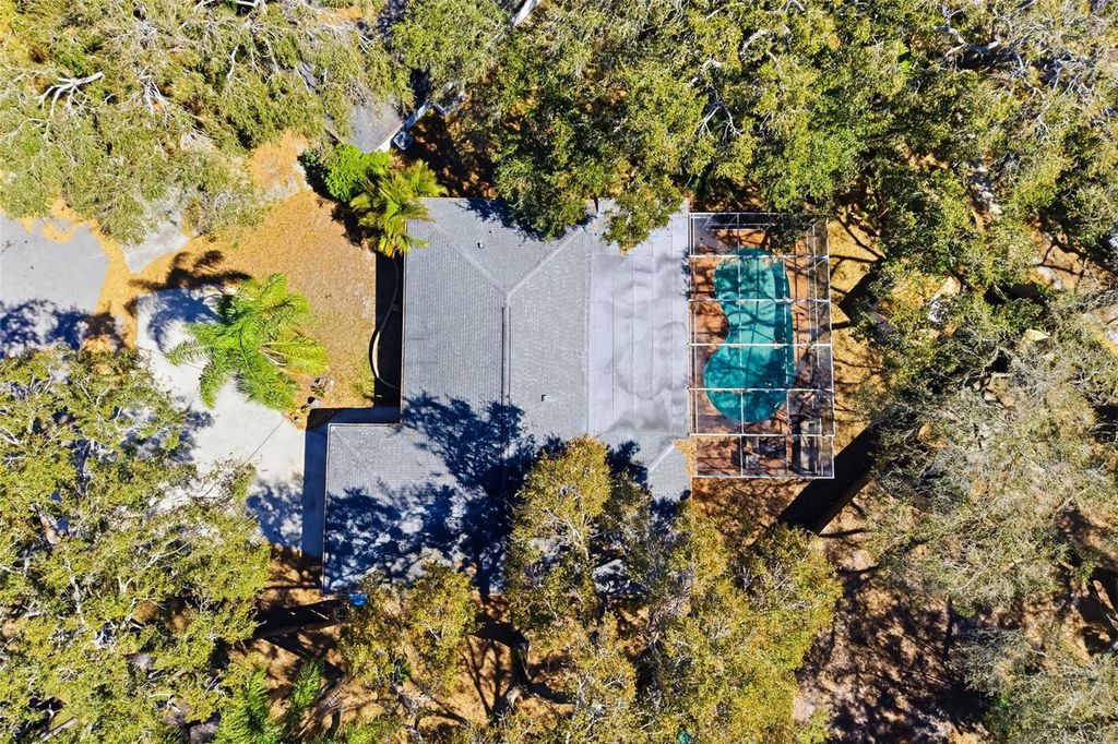 Image 51 of property listing at 186 SUNWARD AVENUE, Palm Harbor, FL 34684