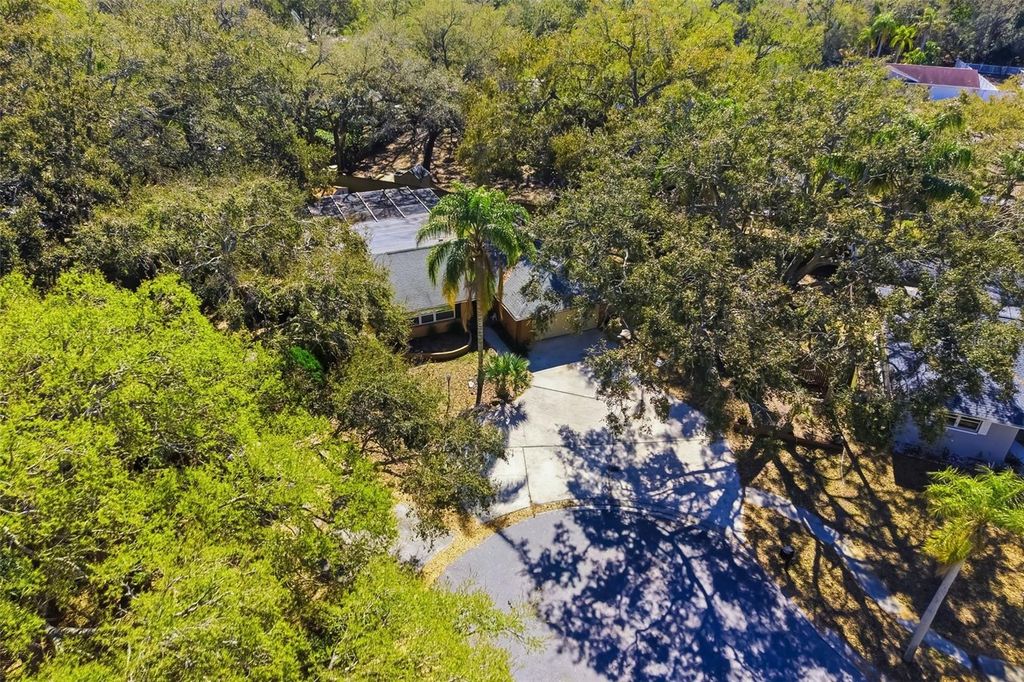 Image 52 of property listing at 186 SUNWARD AVENUE, Palm Harbor, FL 34684