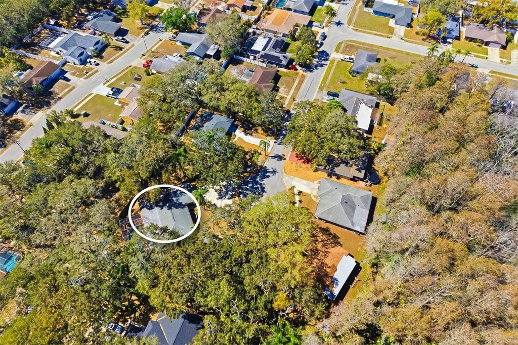 Image 53 of property listing at 186 SUNWARD AVENUE, Palm Harbor, FL 34684