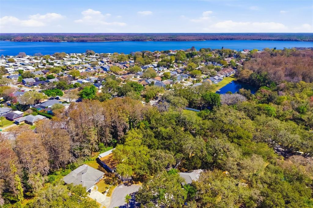 Image 57 of property listing at 186 SUNWARD AVENUE, Palm Harbor, FL 34684