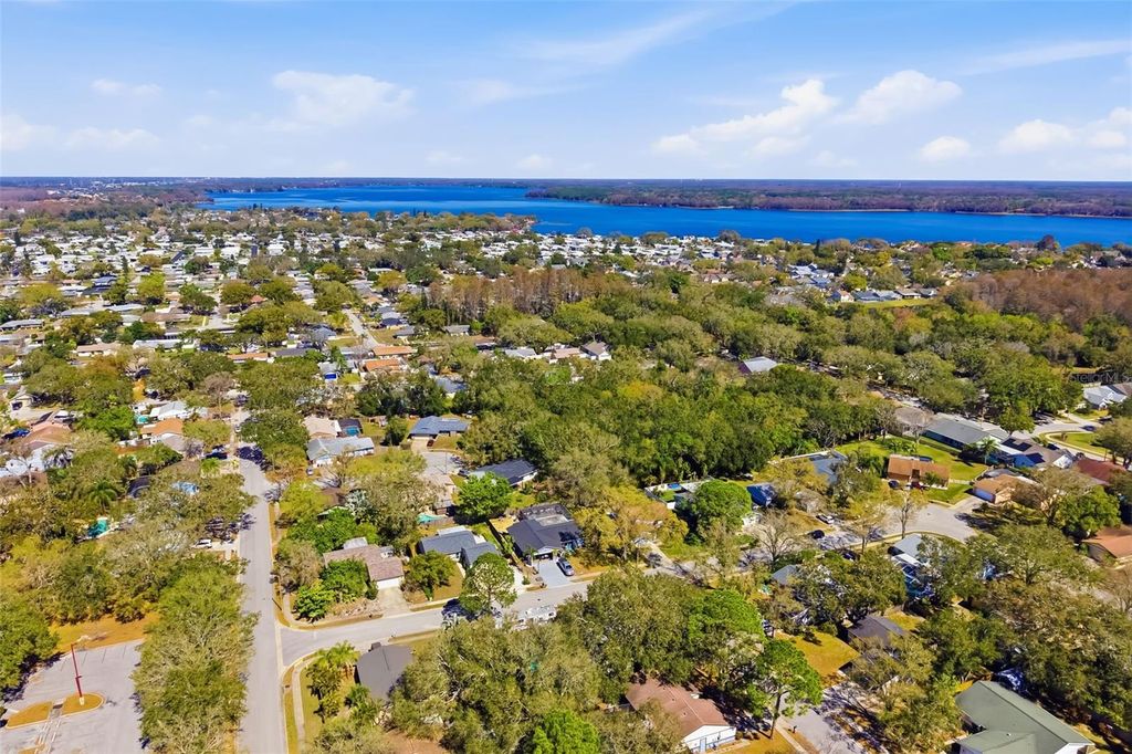 Image 58 of property listing at 186 SUNWARD AVENUE, Palm Harbor, FL 34684