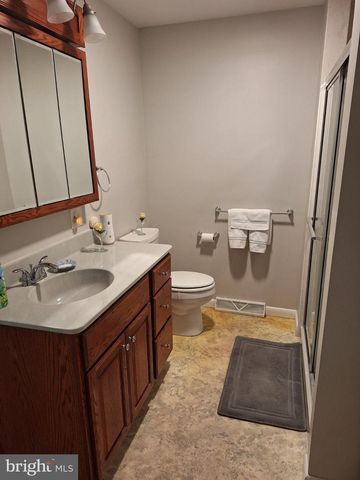 423 S BAUMSTOWN RD, Birdsboro, PA 19508