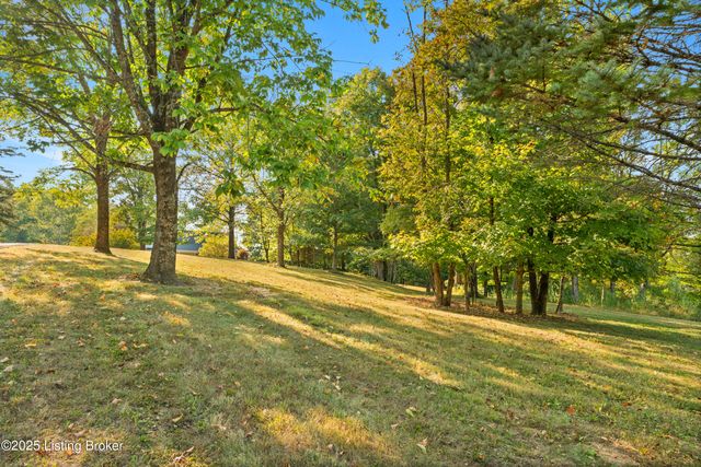 4199 Webb Rd, Simpsonville, KY 40067