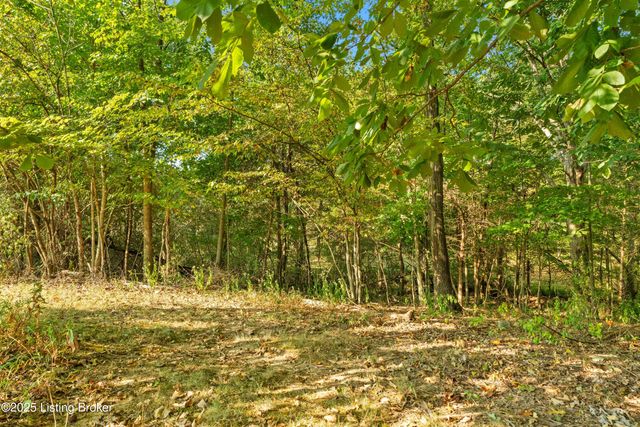 4199 Webb Rd, Simpsonville, KY 40067