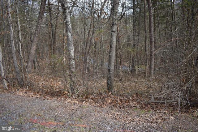 TBD COTTONWOOD RD, Mount Jackson, VA 22842