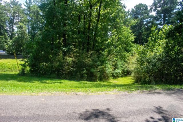 243 ANNA CREEK DRIVE, Helena, AL 35080
