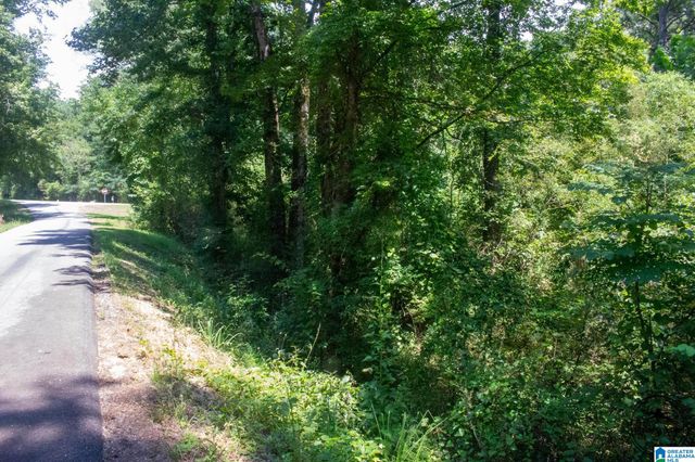 243 ANNA CREEK DRIVE, Helena, AL 35080