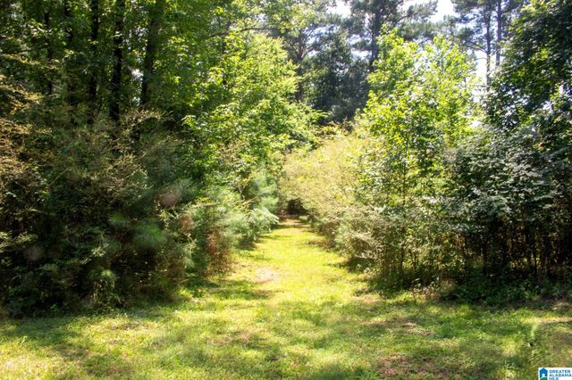 243 ANNA CREEK DRIVE, Helena, AL 35080