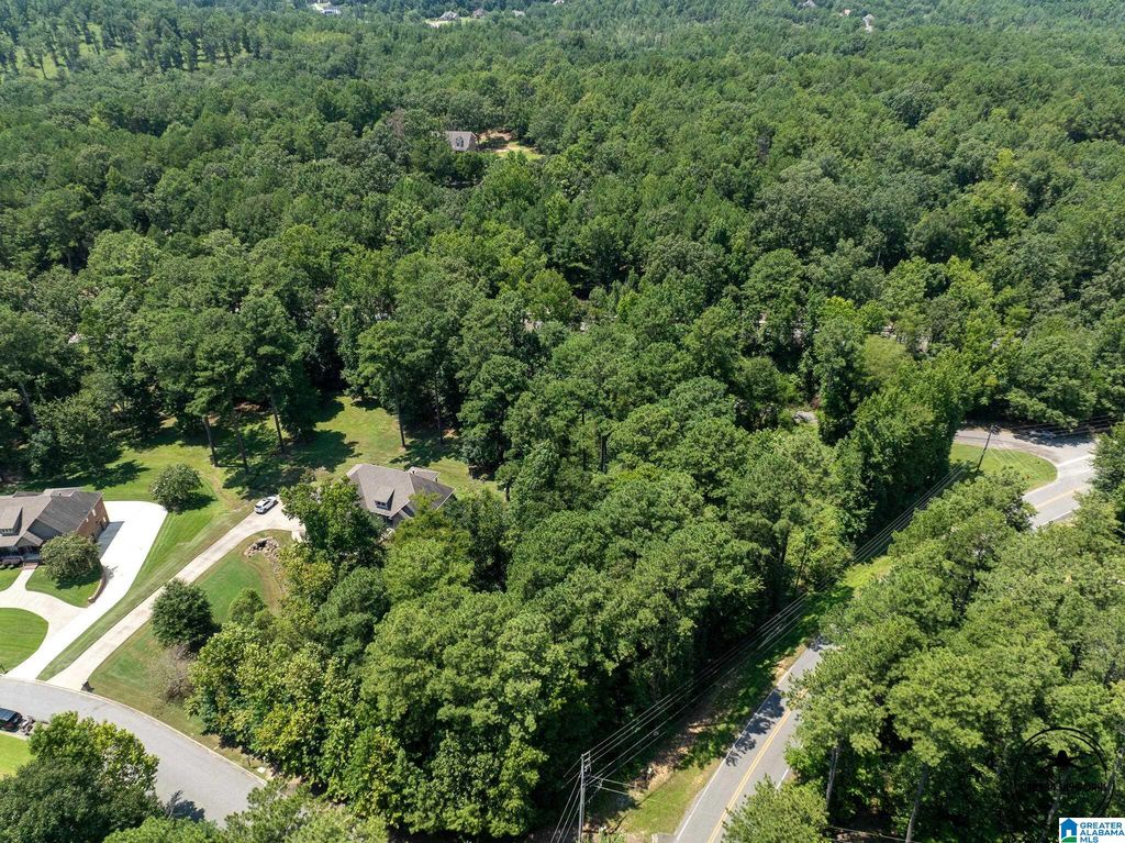 243 ANNA CREEK DRIVE, Helena, AL 35080