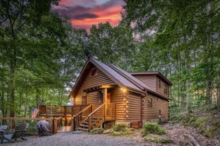 1113 Cherry Lake Drive, Cherry Log, GA 30522