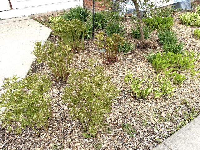 8308 Stevens Avenue S, Bloomington, MN 55420