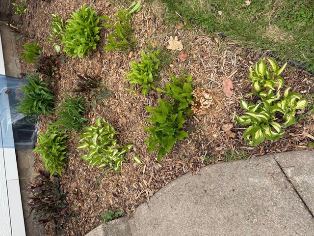 8308 Stevens Avenue S, Bloomington, MN 55420