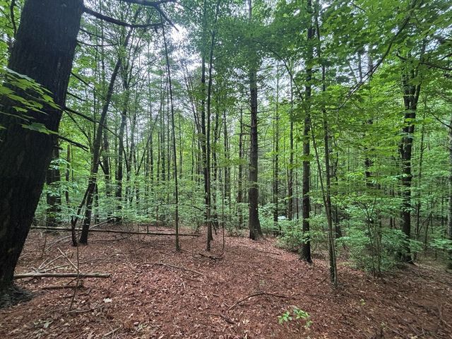 Lot 7 Horse Camp Drive, Hayesville, NC 28904
