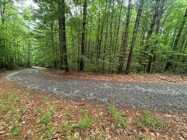 Lot 7 Horse Camp Drive, Hayesville, NC 28904