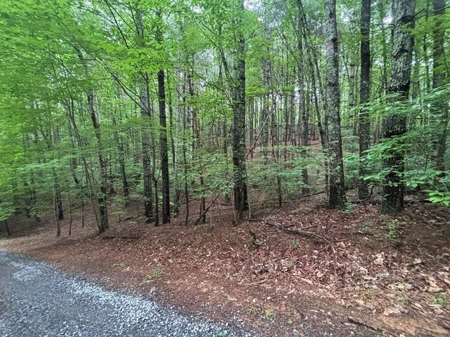 Lot 7 Horse Camp Drive, Hayesville, NC 28904