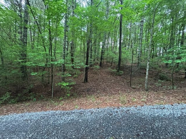 Lot 7 Horse Camp Drive, Hayesville, NC 28904