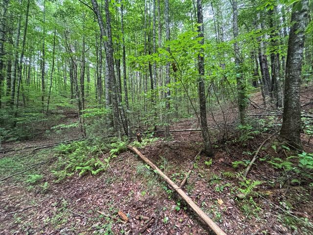 Lot 7 Horse Camp Drive, Hayesville, NC 28904
