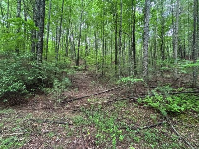 Lot 7 Horse Camp Drive, Hayesville, NC 28904