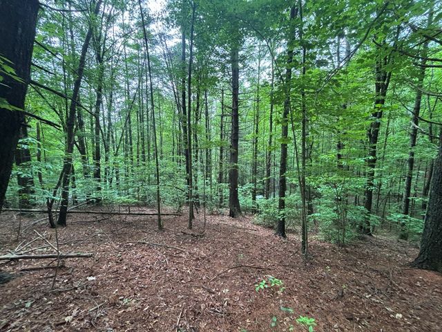Lot 7 Horse Camp Drive, Hayesville, NC 28904