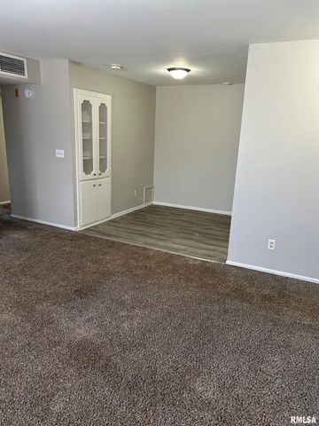 228 E Oak Cliff Ct Apt C3, Peoria, IL 61614