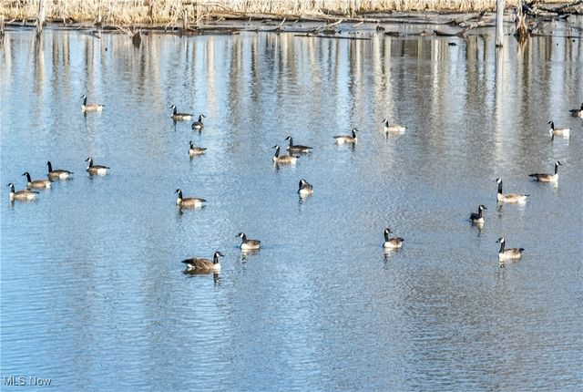 5719 N Richmond Road, Pierpont, OH 44082