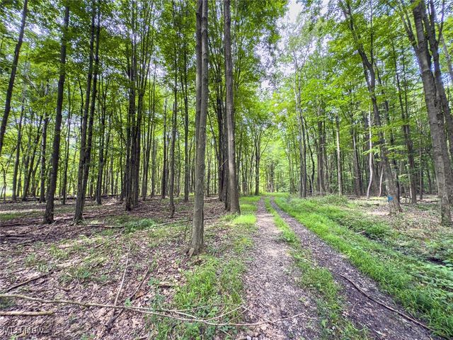 5719 N Richmond Road, Pierpont, OH 44082