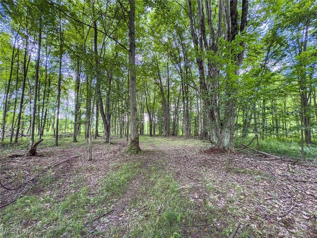 5719 N Richmond Road, Pierpont, OH 44082