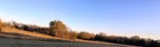 7034 HWY 67 E, Cookville, TX 75558