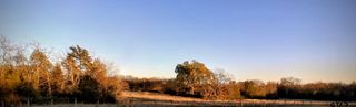 7034 HWY 67 E, Cookville, TX 75558