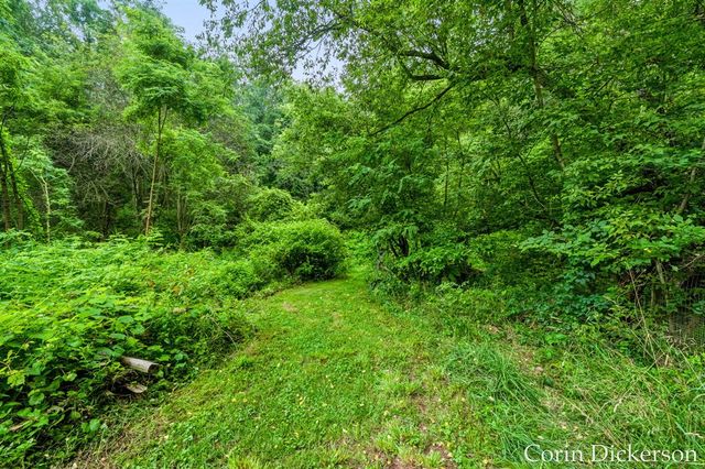 13790 Hutchinson Road, Dowling, MI 49050