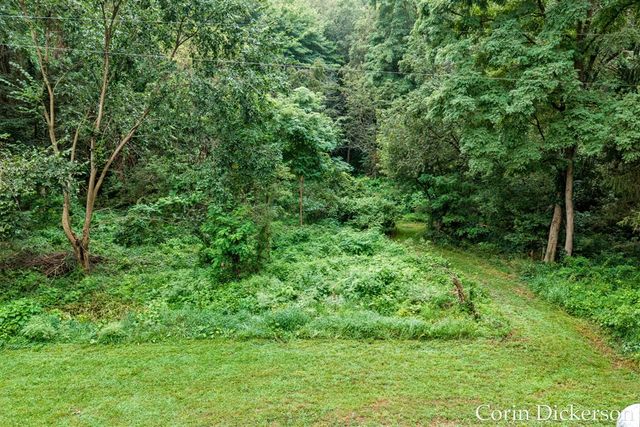 13790 Hutchinson Road, Dowling, MI 49050