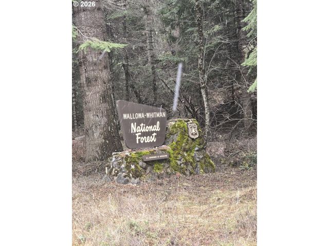 64276 TAMARACK Rd, Lostine, OR 97857