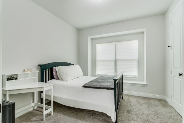 129 Mint Marigold Drive, Wylie, TX 75098