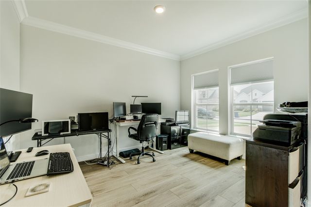 129 Mint Marigold Drive, Wylie, TX 75098