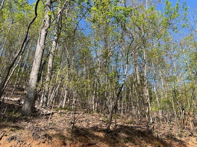 Lot 2B Grandview Drive, Hayesville, NC 28904
