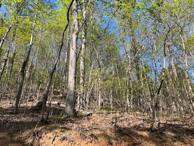 Lot 2B Grandview Drive, Hayesville, NC 28904