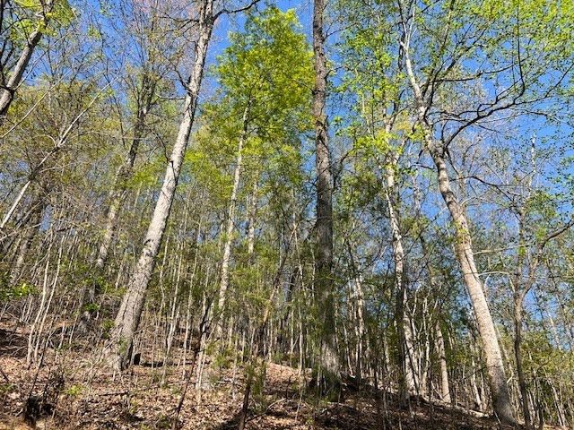Lot 2B Grandview Drive, Hayesville, NC 28904