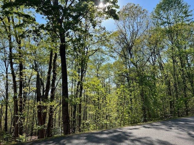 Lot 2B Grandview Drive, Hayesville, NC 28904