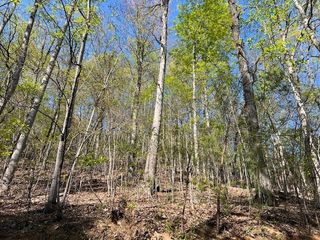 Lot 2B Grandview Drive, Hayesville, NC 28904