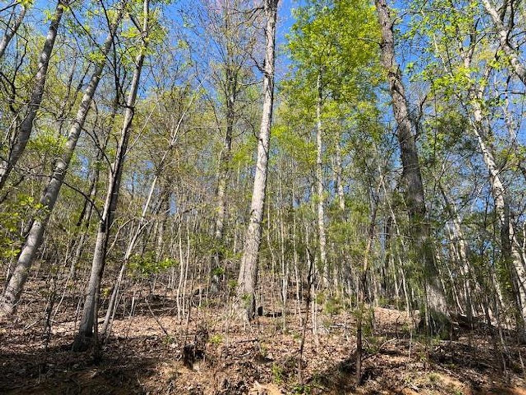 Lot 2B Grandview Drive, Hayesville, NC 28904
