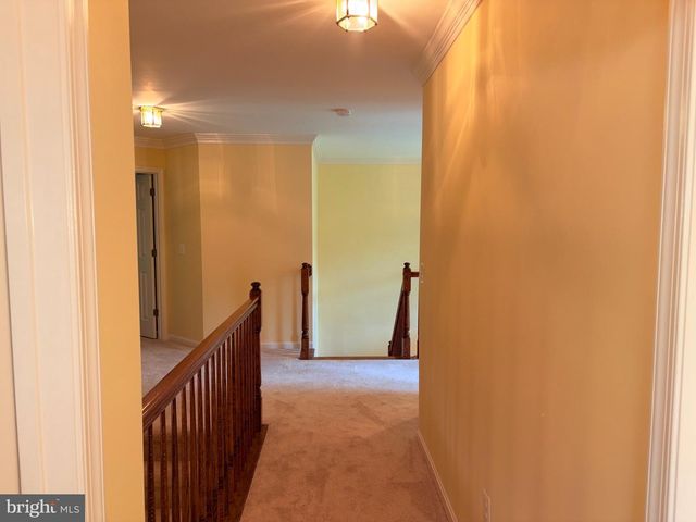 15528 CATTAIL OAKS, Glenwood, MD 21738