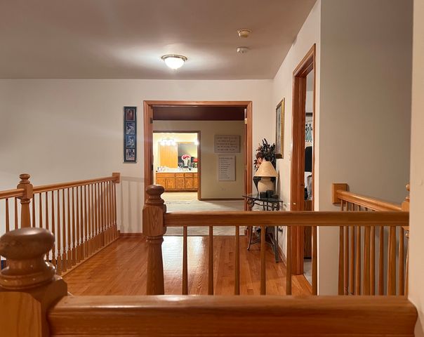 21372 Brittany Drive, Frankfort, IL 60423