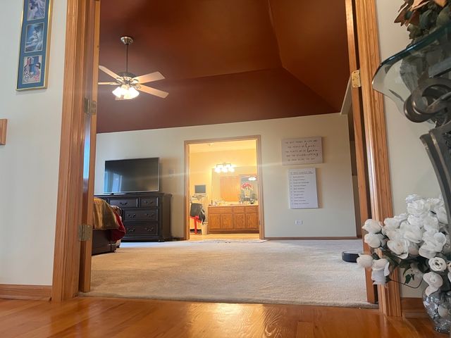 21372 Brittany Drive, Frankfort, IL 60423