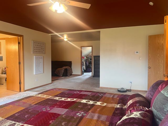 21372 Brittany Drive, Frankfort, IL 60423