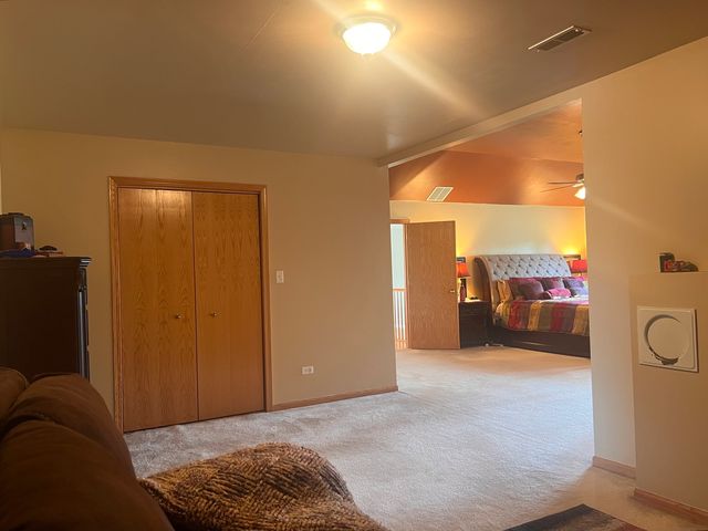 21372 Brittany Drive, Frankfort, IL 60423