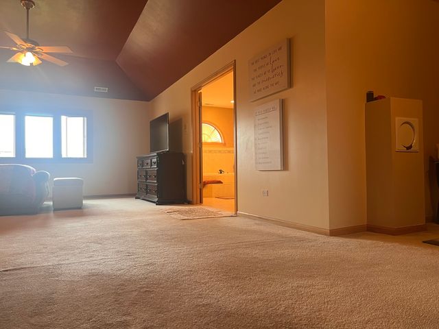 21372 Brittany Drive, Frankfort, IL 60423