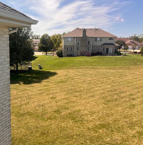 21372 Brittany Drive, Frankfort, IL 60423