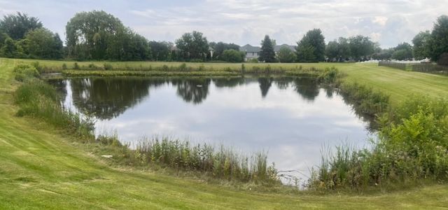 21372 Brittany Drive, Frankfort, IL 60423